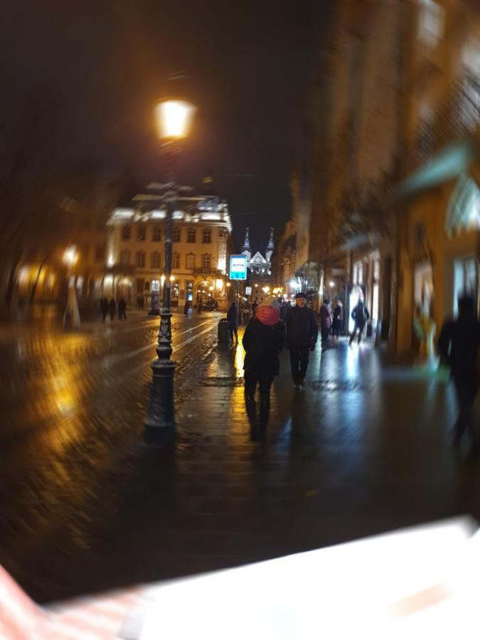 Апартаменти У Шевальє. ลวีฟ ภายนอก รูปภาพ